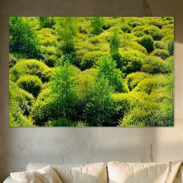 geel en groen een spel van bulten