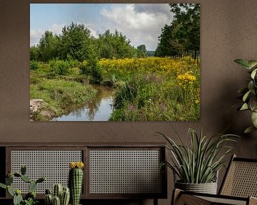 Natuurpark Roode Beek von John Kreukniet