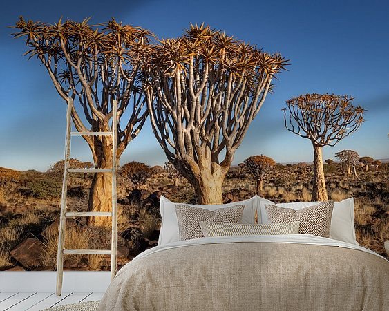 Aperçu de la chambre