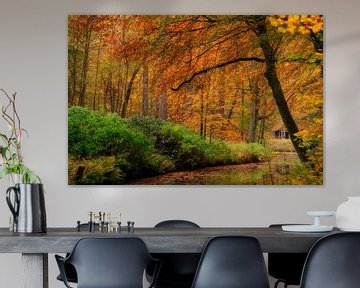 Herfstkleuren op landgoed Elswout van KCleBlanc Photography