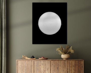 Lune silencieuse monochrome sur Mad Dog Art