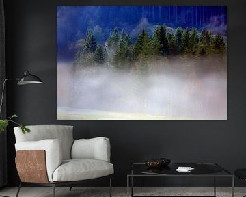 Foggy Black Forest by Patrick Lohmüller