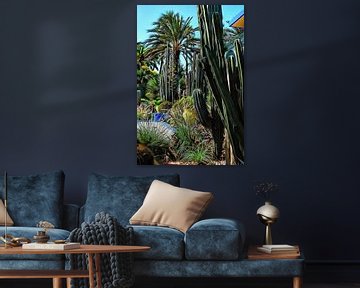 Giant Cacti Jardin Majorelle Marrakech