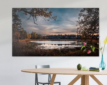 Galderse heide te Breda vergezicht