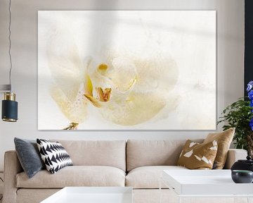 Witte orchidee in ijs 3 van Marc Heiligenstein