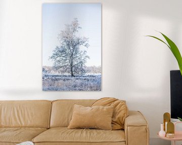 L'arbre solitaire, la nature néerlandaise en hiver