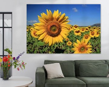 The Sunflowers van Cornelis (Cees) Cornelissen