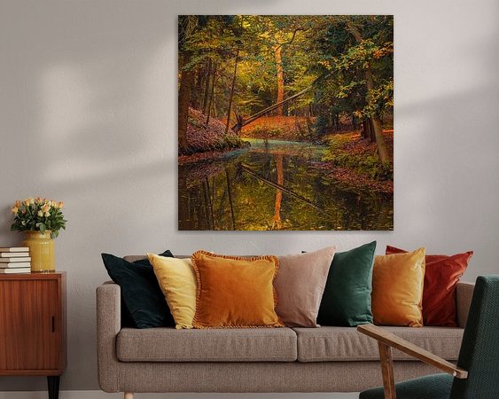 Aperçu de la chambre