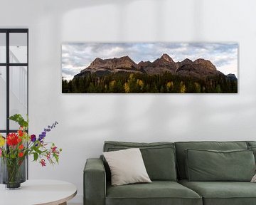 Mount Wilson Canada Panorama van Leon Brouwer