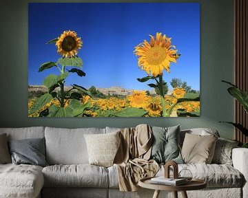 The Two Sunflowers van Cornelis (Cees) Cornelissen