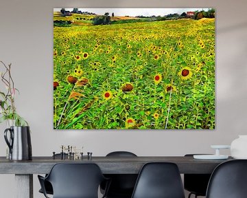 A Hillside of Sunflowers