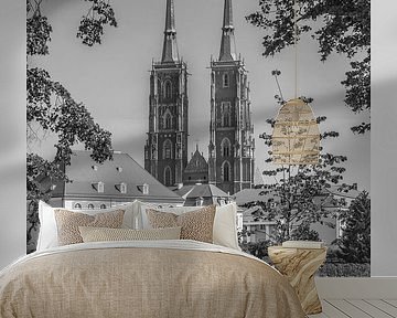 In beeld: BRESLAU Wroclaw Cathedral van Melanie Viola