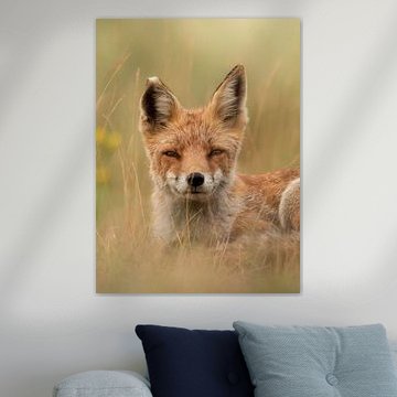 Dromerige vos deel 2