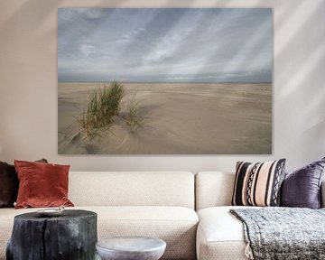 Plage de Terschelling sur Justin Bos