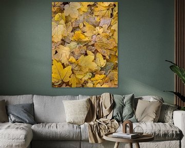 Gevallen herfst bladeren geel van Sander Groenendijk