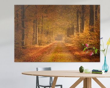 Herbst im Wald von KB Design & Photography (Karen Brouwer)