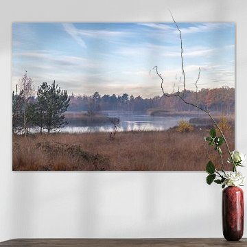 Zonsopkomst in Westerwolde