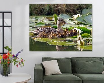 Mother Duck with offspring among the water lilies by Edwin Butter