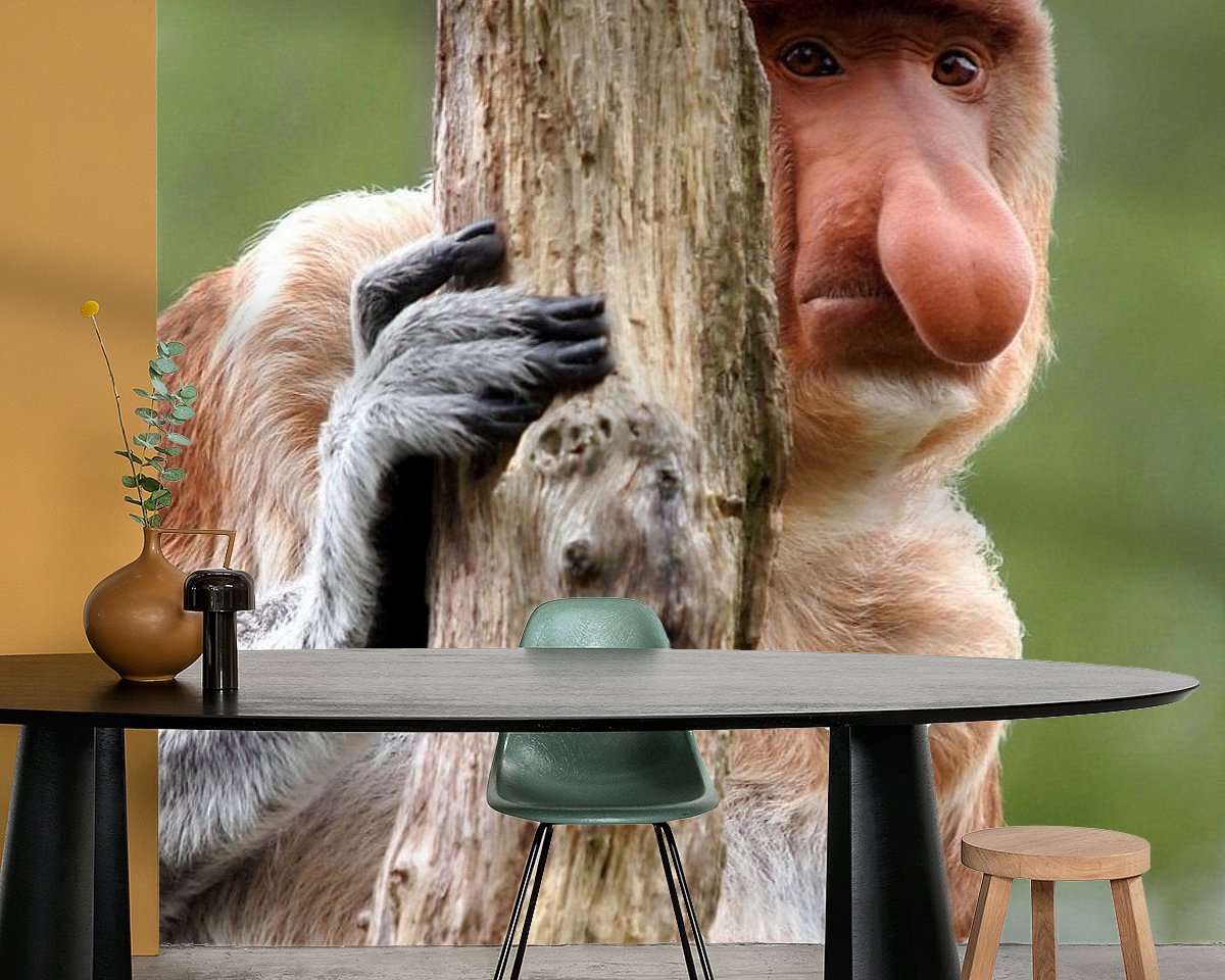 Raumvorschau