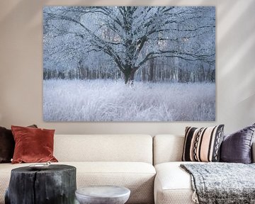 Winter en rijp op de bomen bij Oudemolen in Drenthe van Rick Goede