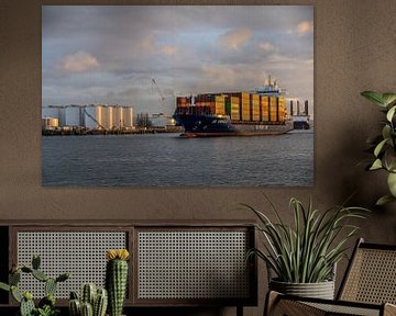Containerschip in de haven van Rotterdam. van Janny Beimers