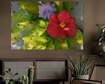 Flowers in a pool of water by Claude Laprise