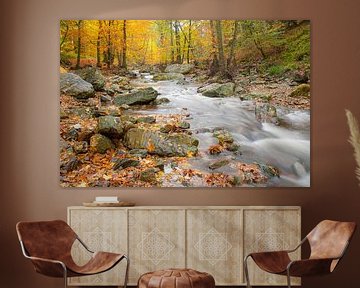 Een riviertje met herfstkleuren van Marc Vandaele