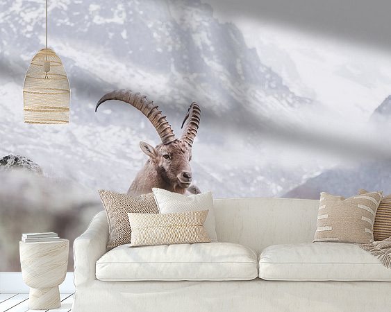 Raumvorschau
