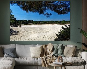 Vue sur les dunes de Drunense sur Carin IJpelaar