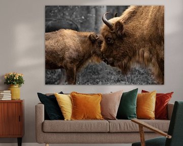 Mother bison with calf by Special Moments MvL