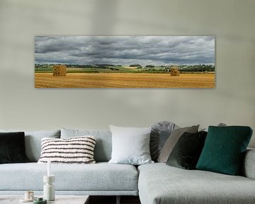 Panorama van de Vrouwenheide en De Huls by John Kreukniet