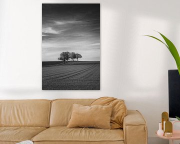 Arbres dans un paysage vallonné avec de longues lignes sur André Post