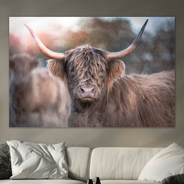 Een nieuwsgierige Schotse hooglander