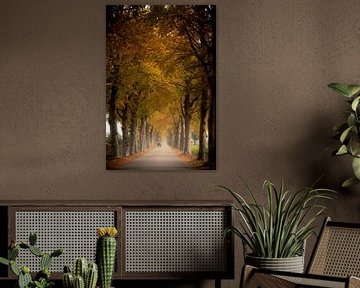 Cyclists on a road overgrown with trees by Jaimy Leemburg Fotografie