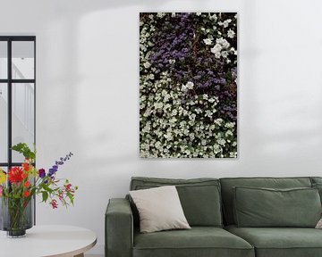 Sammlung kleiner weißer und lila Blumen | Blumenfotografie von AIM52 Shop