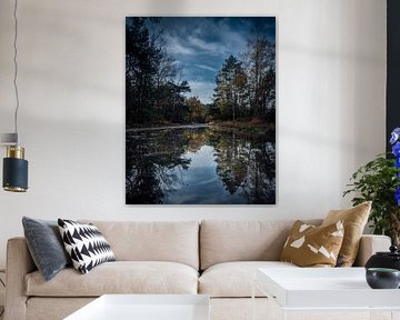 Reflektierende Bäume