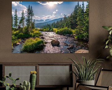 Colorado Wilderness Foto, Landschaftsbild von Daniel Forster