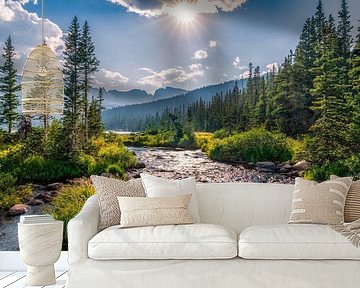 Colorado Wildernis Foto, Landschapsbeeld