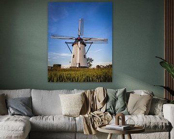 Witte Molen Meeuwen Holland van Zwoele Plaatjes