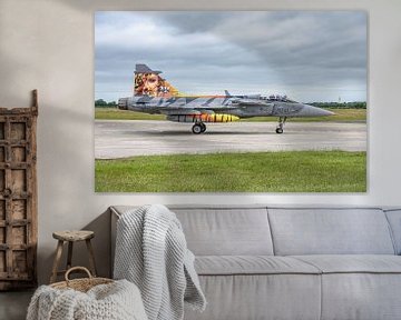 Der tschechische Saab JAS39 Gripen während der NTM 2017. von Jaap van den Berg