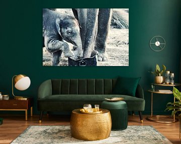 Olifant - Nepal van Dennis Timmer