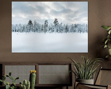 Paysage blanc en Laponie finlandaise sur Miranda van Assema