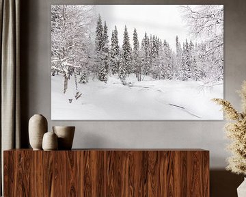 Witte, winterse wereld van Lapland. van Miranda van Assema