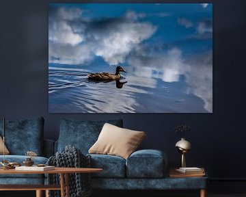 Duck in the water by Sanne van Duijnhoven