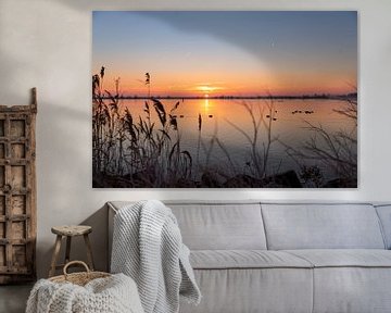 Sonnenaufgang im glatten IJsselmeer von Miranda van Assema