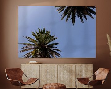 2 palmbomen met blauwe lucht in Porto Portugal van Karijn | Fine art Natuur en Reis Fotografie