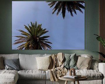 2 palmbomen met blauwe lucht in Porto Portugal van Karijn | Fine art Natuur en Reis Fotografie