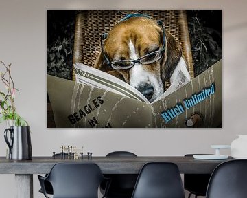 Dirty Beagle von Dennis Timmer