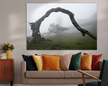 Die magischen Bäume von Fanal2 von Eric Hokke