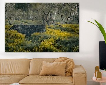 "Oude fruitbomen in een gele bloemen oase" van Chris Biesheuvel I  Dream Scapes